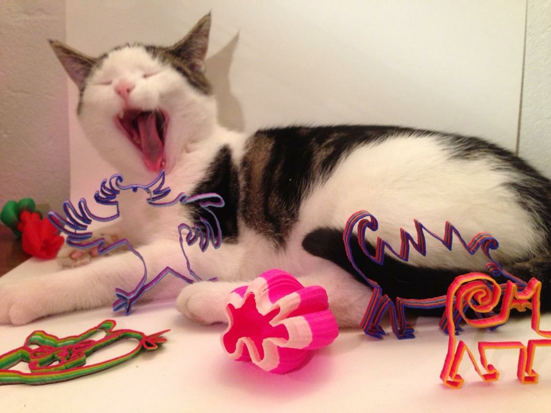 Doodle3D Alfred the cat